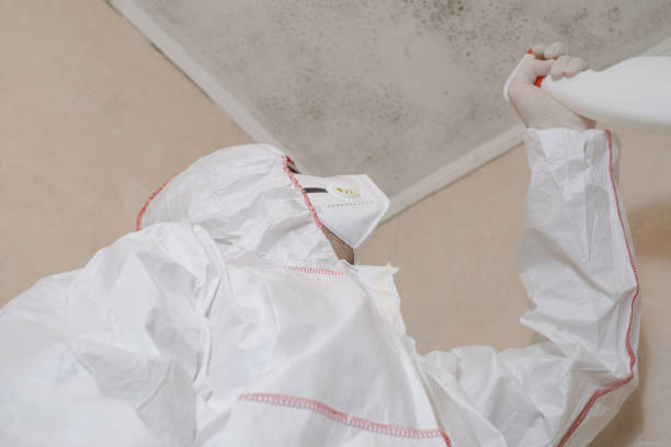 Best Mold Remediation  in Fowler, MI